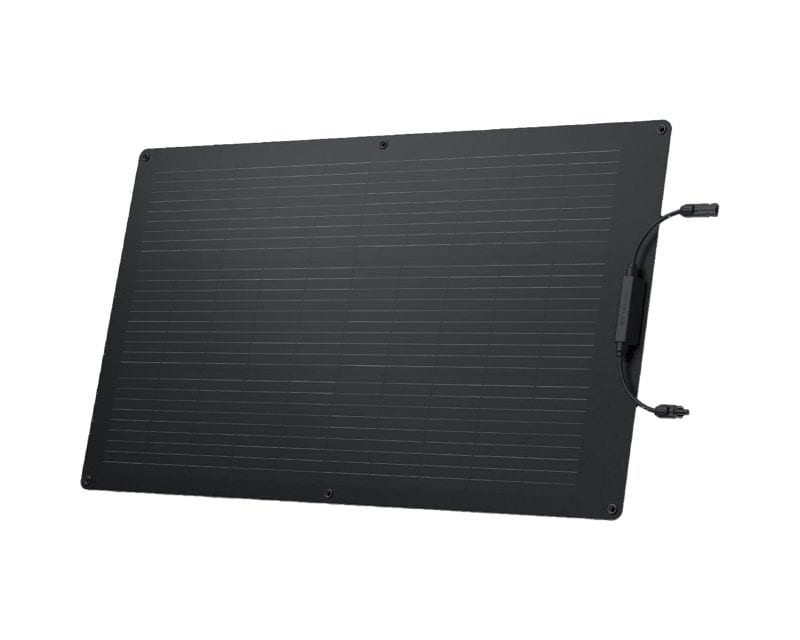 EcoFlow 100 W flexible photovoltaic panel